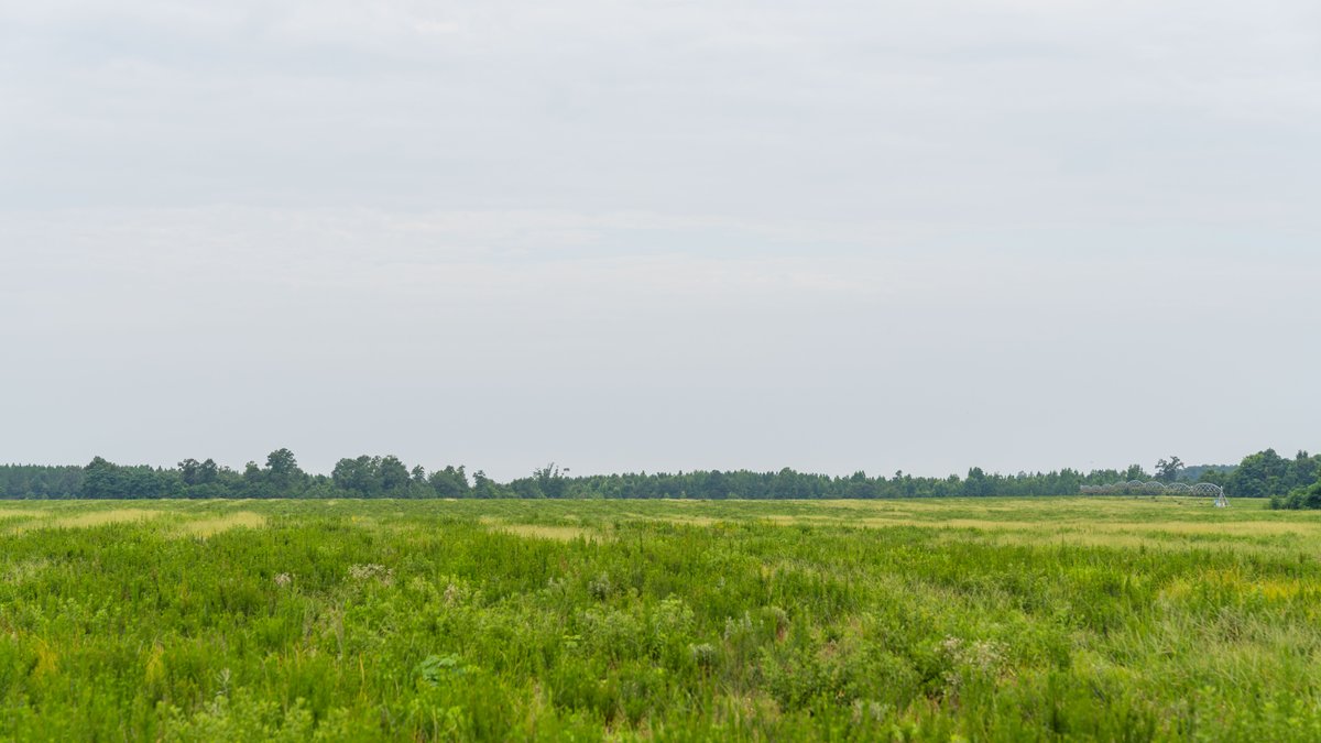 Image for The Summerford Place - 240+/- Total Acres - Irrigated Row Crop Farm - Beautiful Pond w/ Premium Hunting