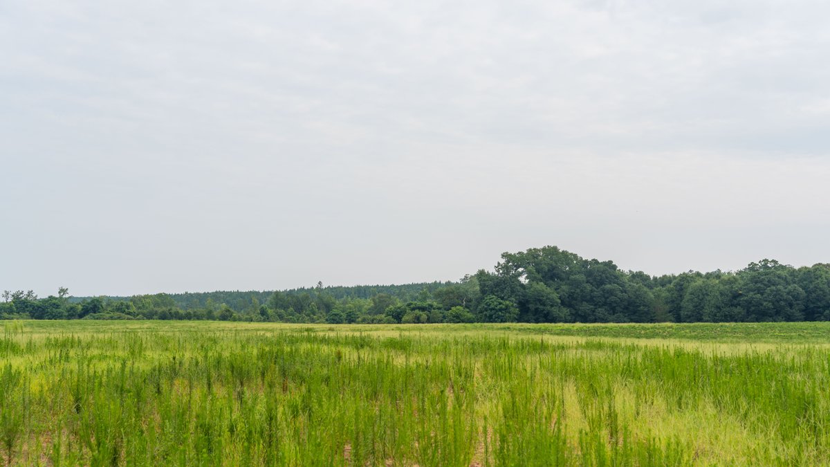 Image for The Summerford Place - 240+/- Total Acres - Irrigated Row Crop Farm - Beautiful Pond w/ Premium Hunting