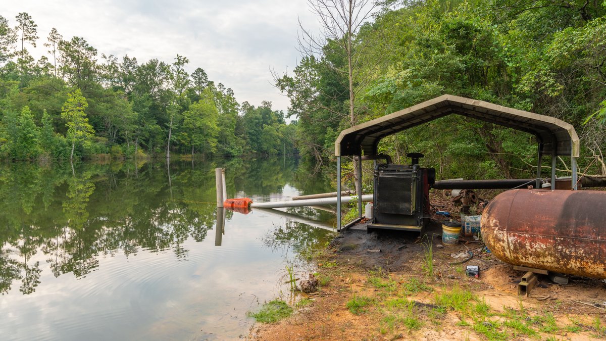 Image for The Summerford Place - 240+/- Total Acres - Irrigated Row Crop Farm - Beautiful Pond w/ Premium Hunting