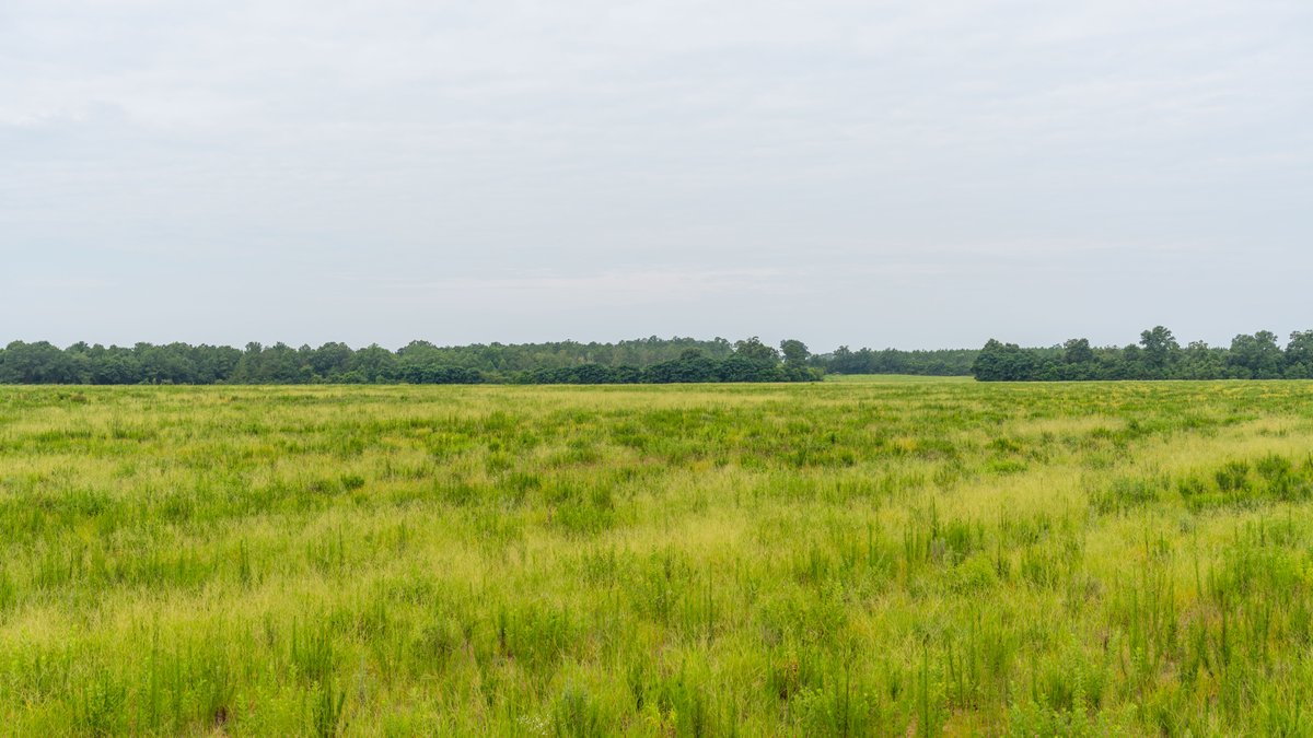 Image for The Summerford Place - 240+/- Total Acres - Irrigated Row Crop Farm - Beautiful Pond w/ Premium Hunting