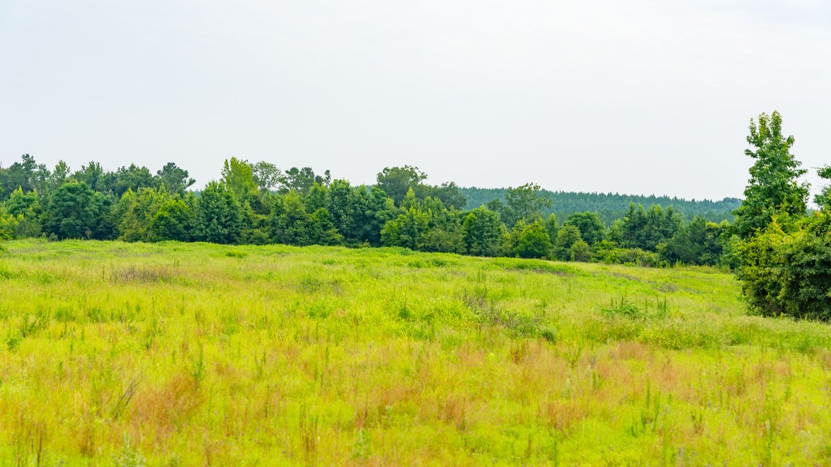 Image for The Summerford Place - 240+/- Total Acres - Irrigated Row Crop Farm - Beautiful Pond w/ Premium Hunting