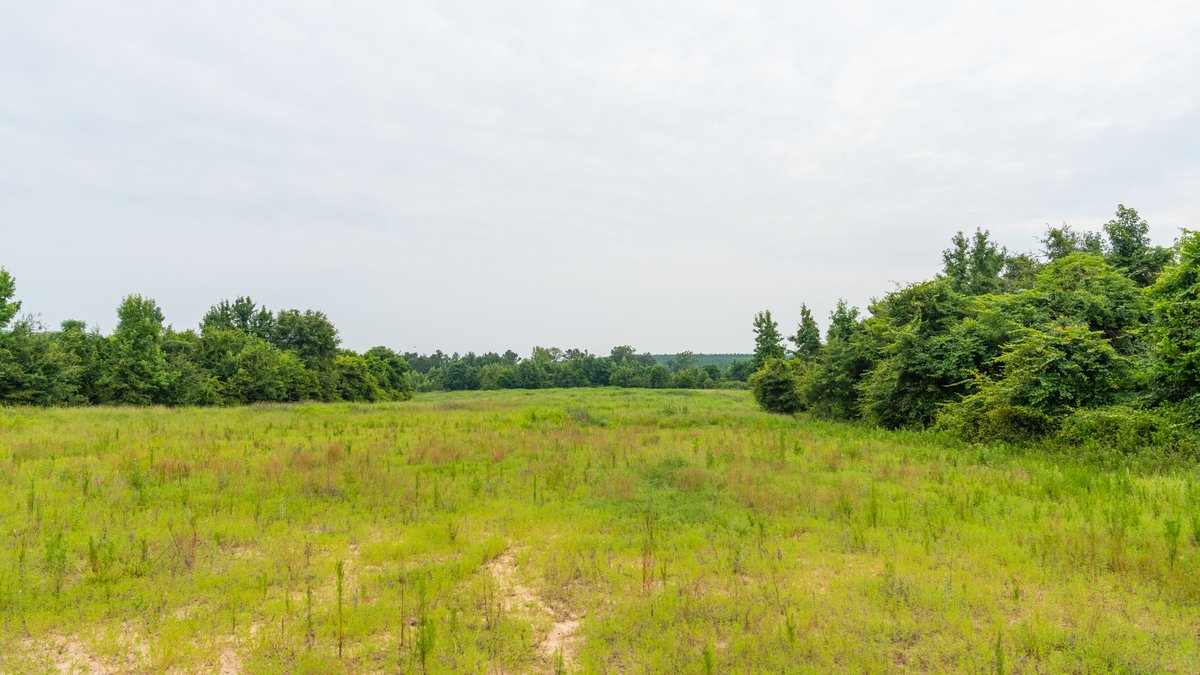 Image for The Summerford Place - 240+/- Total Acres - Irrigated Row Crop Farm - Beautiful Pond w/ Premium Hunting
