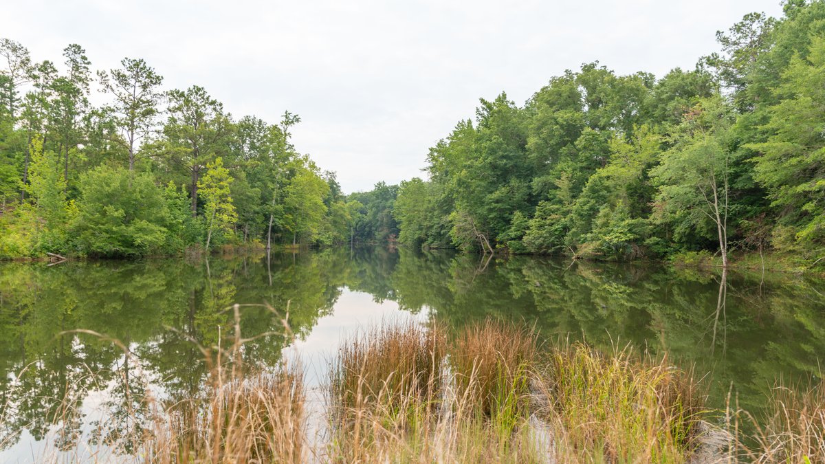 Image for The Summerford Place - 240+/- Total Acres - Irrigated Row Crop Farm - Beautiful Pond w/ Premium Hunting