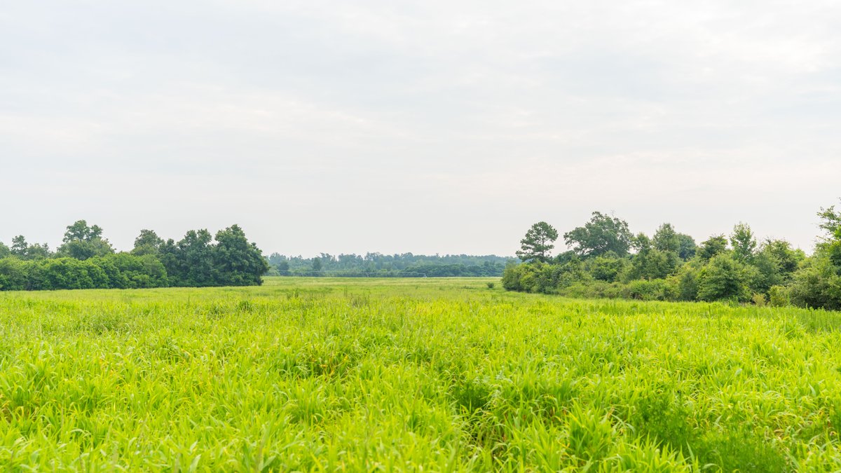Image for The Summerford Place - 240+/- Total Acres - Irrigated Row Crop Farm - Beautiful Pond w/ Premium Hunting