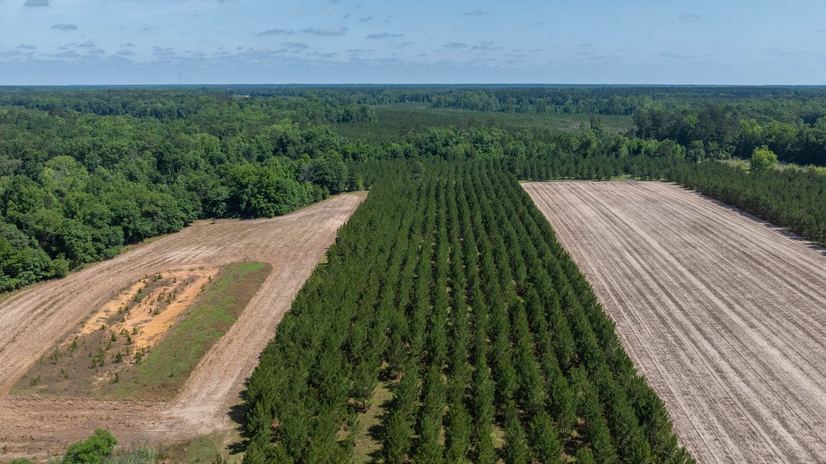 Image for 176+/- Acres - 6,546+/- SF Custom Lodge w/ Stocked Ponds & Food Plots - Mature Timber & Rocky Creek Frontage