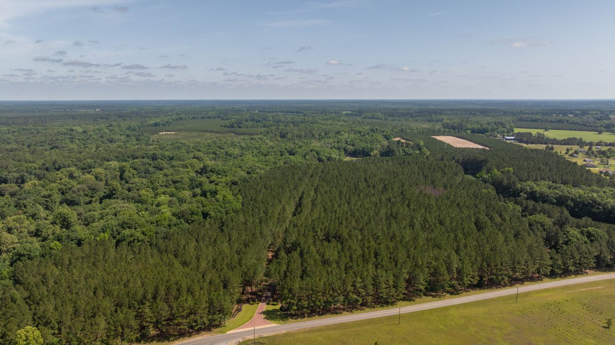 Image for 176+/- Acres - 6,546+/- SF Custom Lodge w/ Stocked Ponds & Food Plots - Mature Timber & Rocky Creek Frontage
