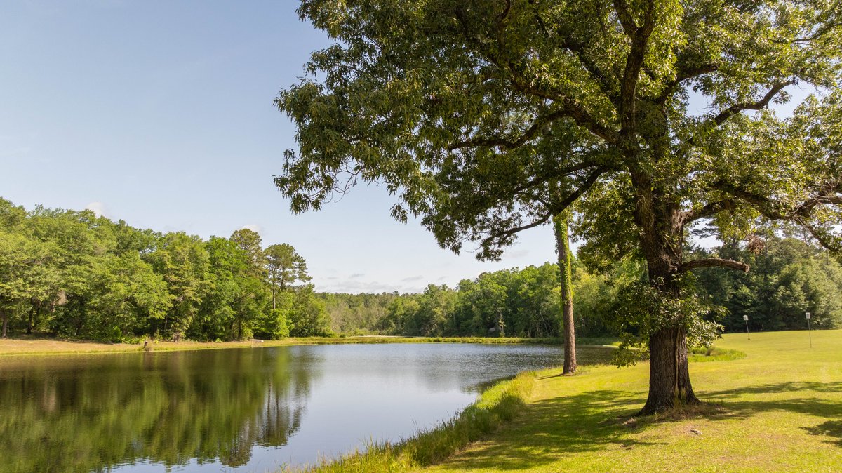 Image for 176+/- Acres - 6,546+/- SF Custom Lodge w/ Stocked Ponds & Food Plots - Mature Timber & Rocky Creek Frontage