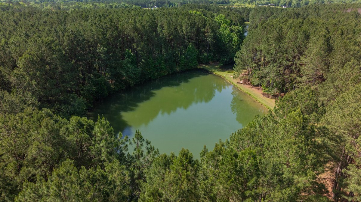 Image for 176+/- Acres - 6,546+/- SF Custom Lodge w/ Stocked Ponds & Food Plots - Mature Timber & Rocky Creek Frontage