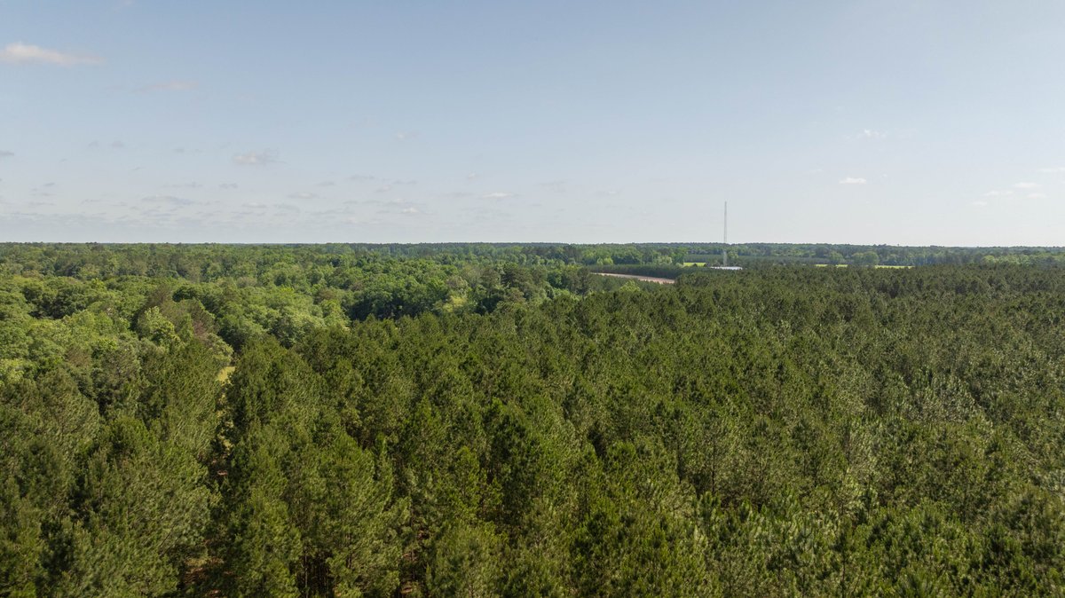Image for 176+/- Acres - 6,546+/- SF Custom Lodge w/ Stocked Ponds & Food Plots - Mature Timber & Rocky Creek Frontage