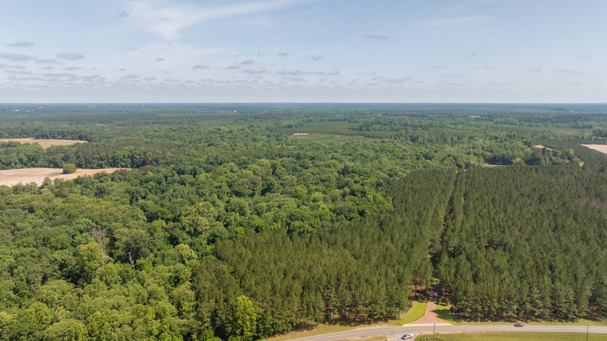 Image for 176+/- Acres - 6,546+/- SF Custom Lodge w/ Stocked Ponds & Food Plots - Mature Timber & Rocky Creek Frontage
