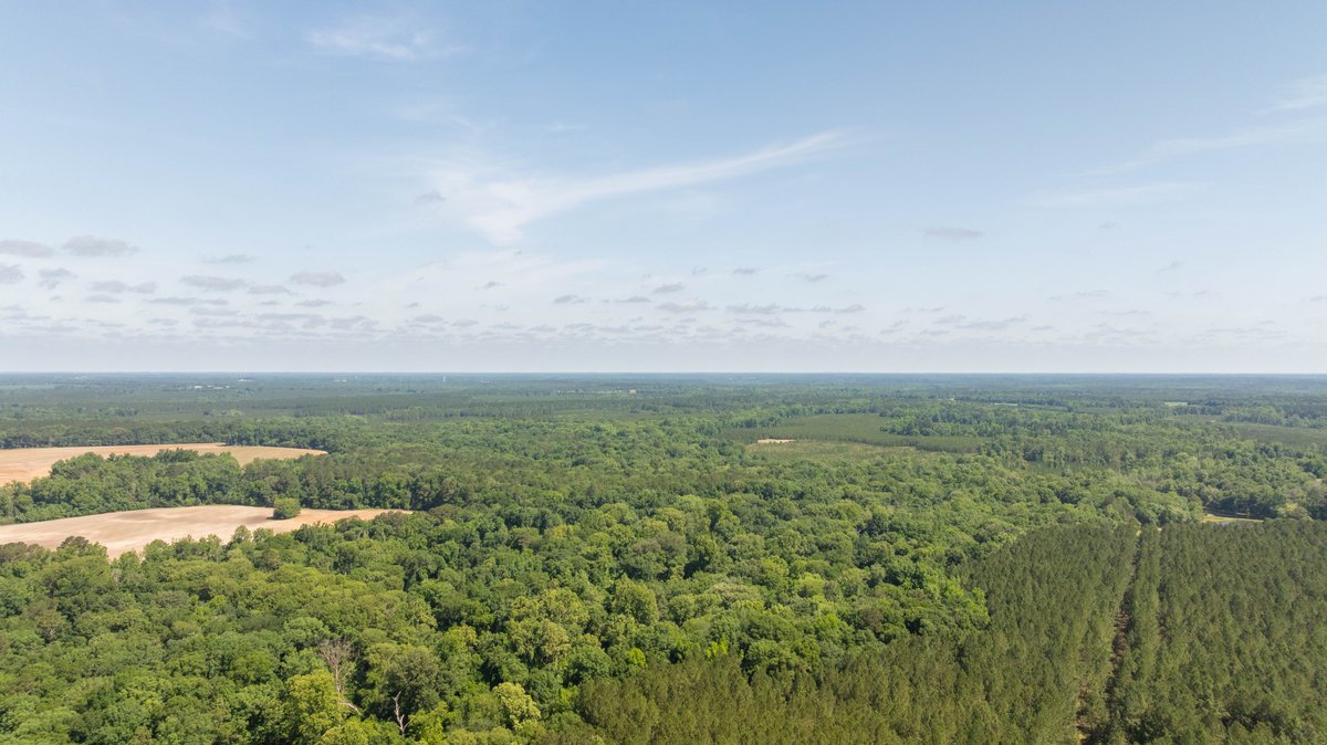 Image for 176+/- Acres - 6,546+/- SF Custom Lodge w/ Stocked Ponds & Food Plots - Mature Timber & Rocky Creek Frontage