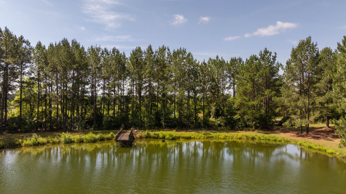 Image for 176+/- Acres - 6,546+/- SF Custom Lodge w/ Stocked Ponds & Food Plots - Mature Timber & Rocky Creek Frontage