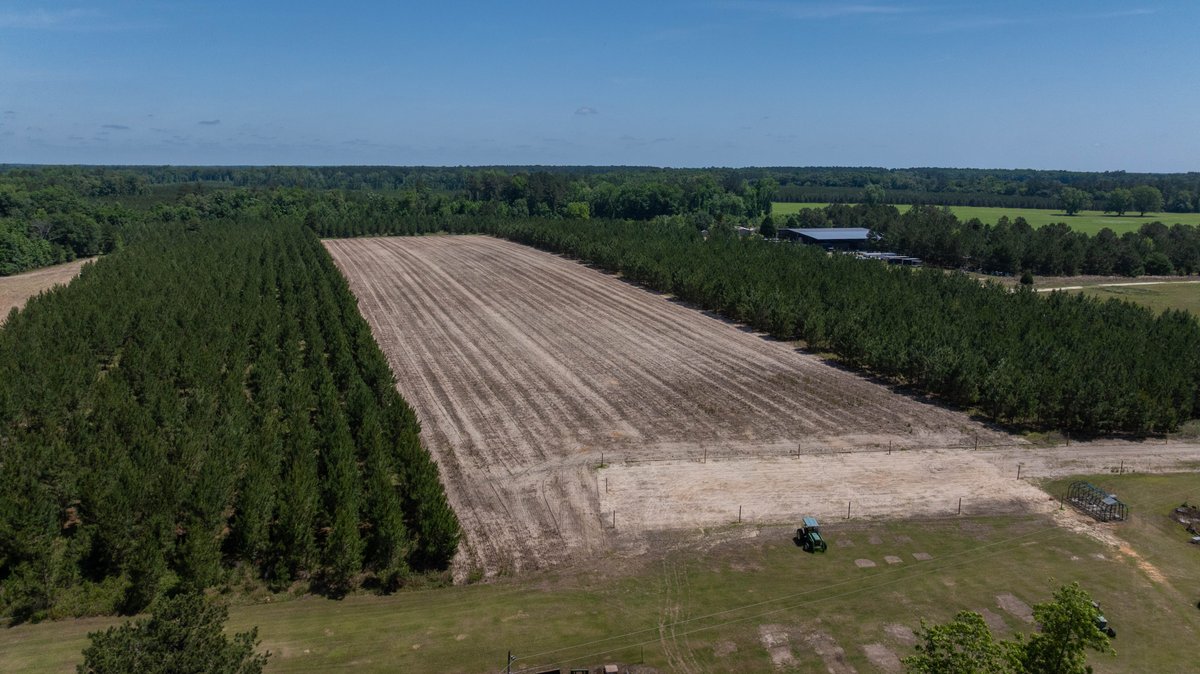 Image for 176+/- Acres - 6,546+/- SF Custom Lodge w/ Stocked Ponds & Food Plots - Mature Timber & Rocky Creek Frontage