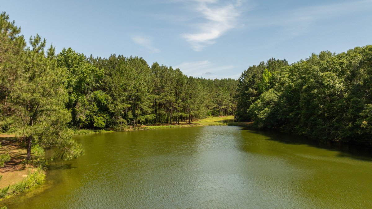 Image for 176+/- Acres - 6,546+/- SF Custom Lodge w/ Stocked Ponds & Food Plots - Mature Timber & Rocky Creek Frontage