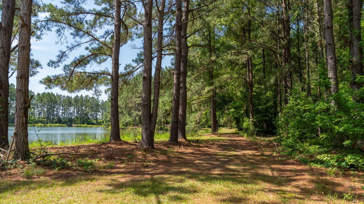 Image for 176+/- Acres - 6,546+/- SF Custom Lodge w/ Stocked Ponds & Food Plots - Mature Timber & Rocky Creek Frontage