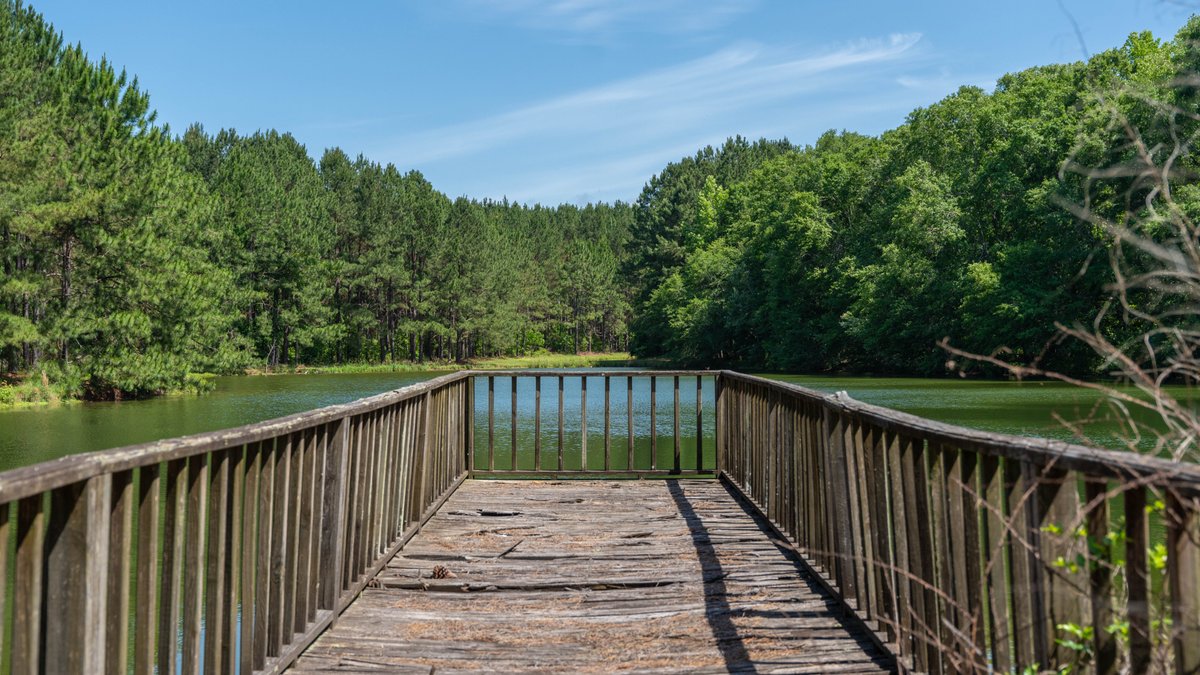 Image for 176+/- Acres - 6,546+/- SF Custom Lodge w/ Stocked Ponds & Food Plots - Mature Timber & Rocky Creek Frontage
