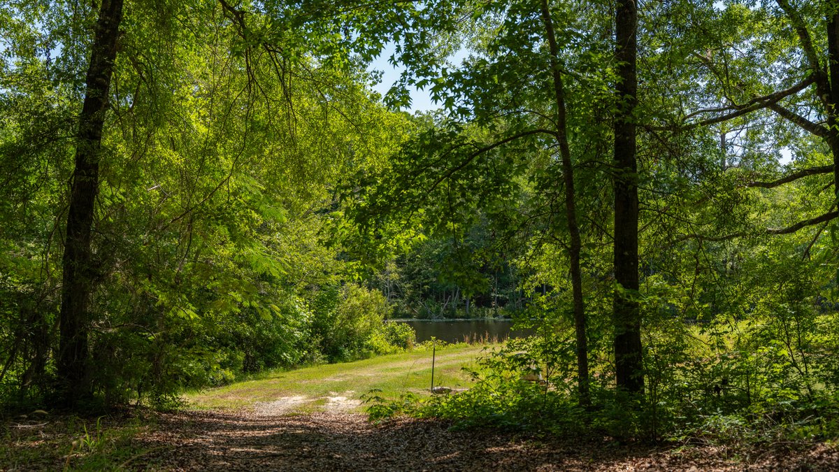 Image for 176+/- Acres - 6,546+/- SF Custom Lodge w/ Stocked Ponds & Food Plots - Mature Timber & Rocky Creek Frontage