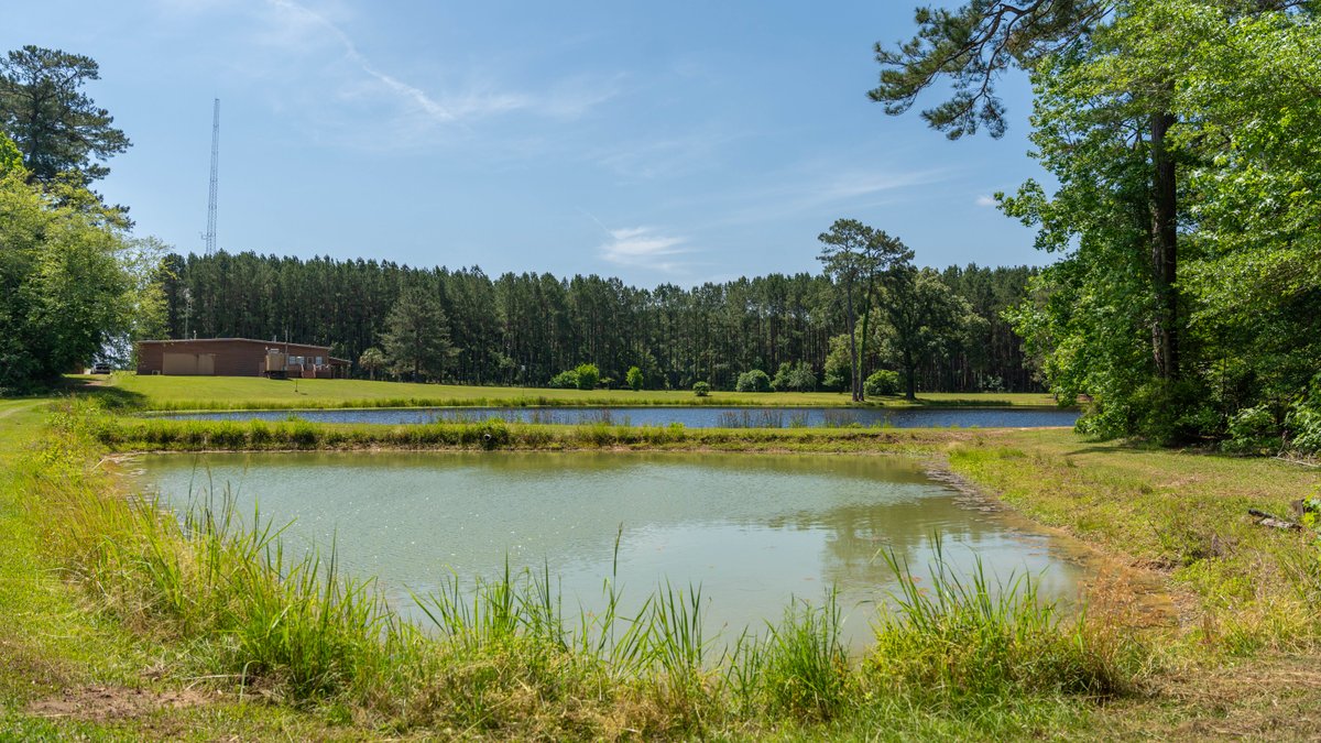 Image for 176+/- Acres - 6,546+/- SF Custom Lodge w/ Stocked Ponds & Food Plots - Mature Timber & Rocky Creek Frontage