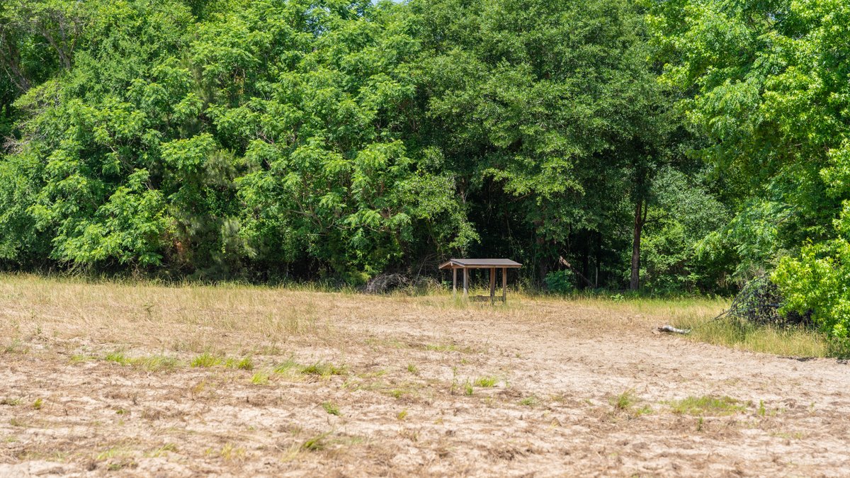 Image for 176+/- Acres - 6,546+/- SF Custom Lodge w/ Stocked Ponds & Food Plots - Mature Timber & Rocky Creek Frontage