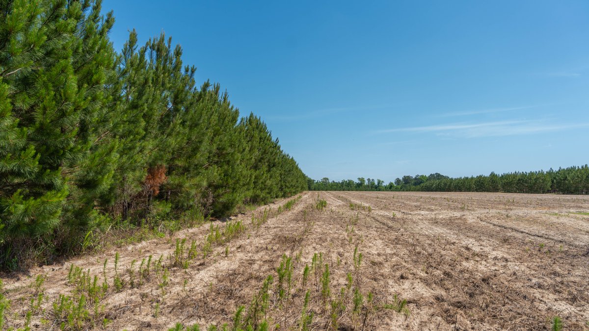 Image for 176+/- Acres - 6,546+/- SF Custom Lodge w/ Stocked Ponds & Food Plots - Mature Timber & Rocky Creek Frontage