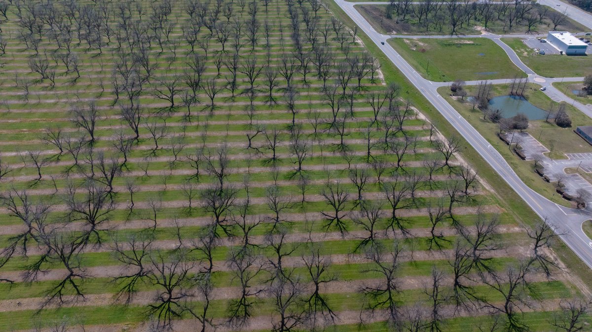 Image for Forrester - 1.32+/- Acres - Flint Ventures Commercial Acreage