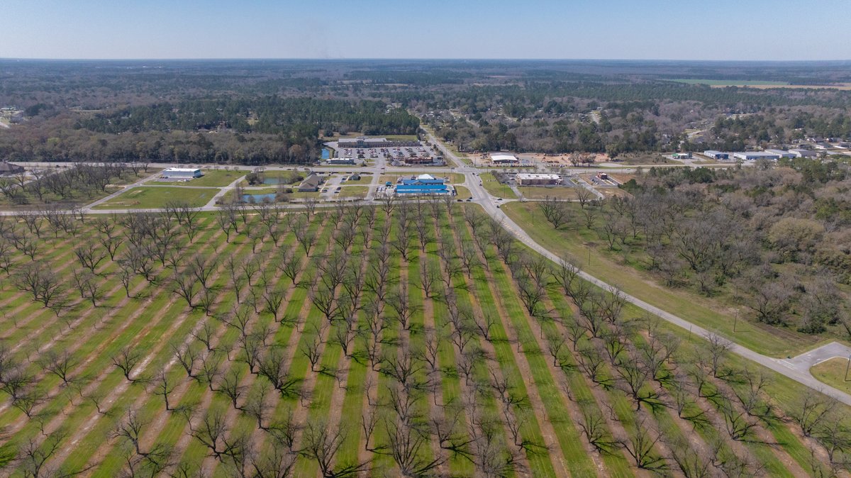 Image for Forrester - 1.32+/- Acres - Flint Ventures Commercial Acreage