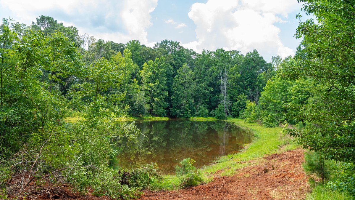 Image for 300.93+/- Acres - Rock Quarry Ridge - Sportsman’s Paradise w/ Beautiful Lakes & Homesite Potential - Offered Divided & As a Whole