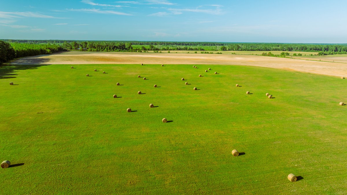 Image for 224+/- Total Acres – The Bowen Farm - Productive Farmland w/ Brick Home, Coastal Hayfields & Large Metal Building