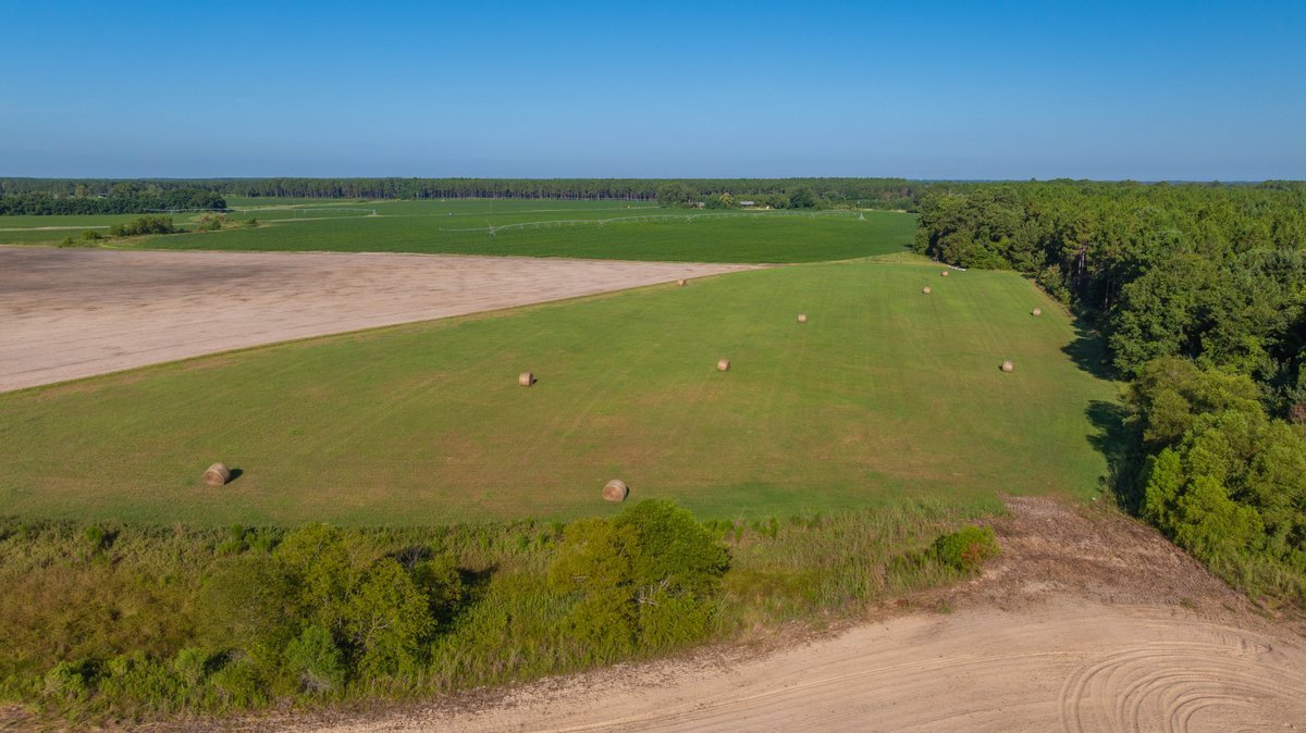 Image for 224+/- Total Acres – The Bowen Farm - Productive Farmland w/ Brick Home, Coastal Hayfields & Large Metal Building