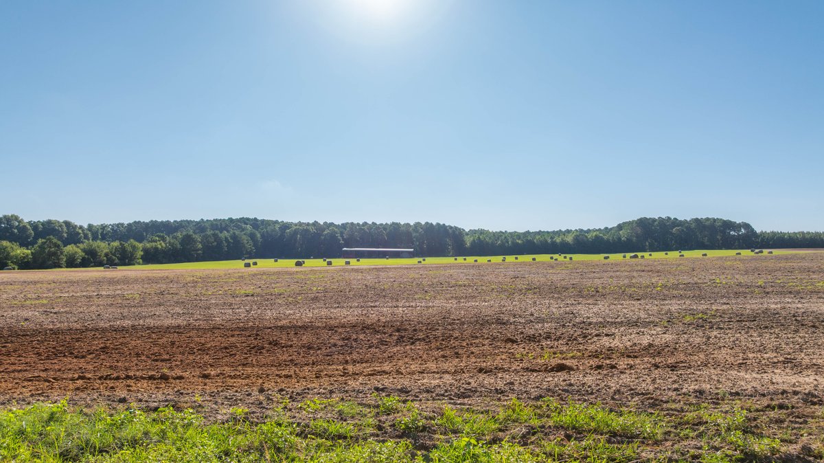 Image for 224+/- Total Acres – The Bowen Farm - Productive Farmland w/ Brick Home, Coastal Hayfields & Large Metal Building