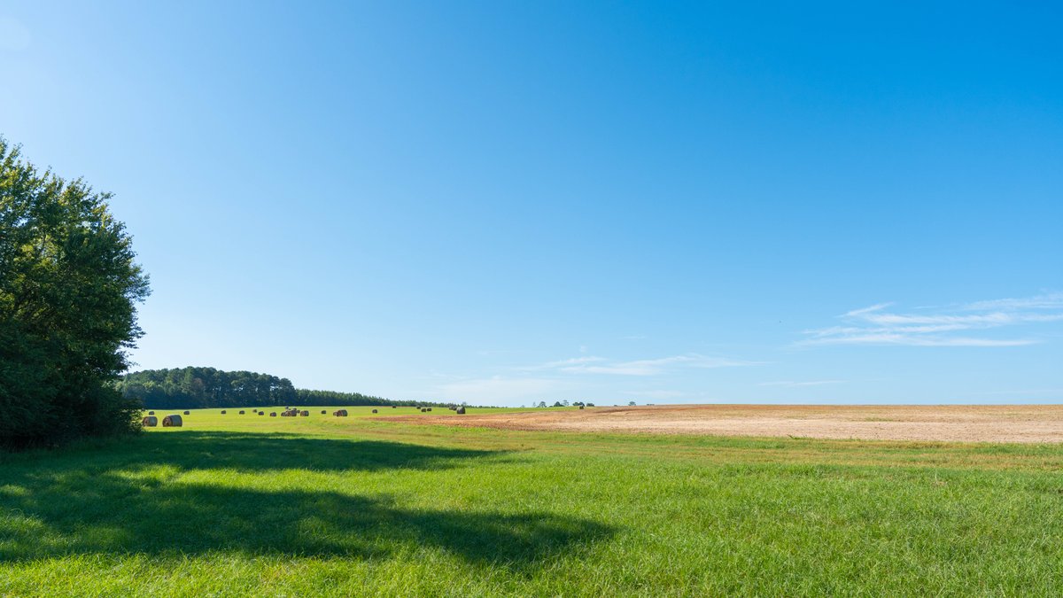 Image for 224+/- Total Acres – The Bowen Farm - Productive Farmland w/ Brick Home, Coastal Hayfields & Large Metal Building
