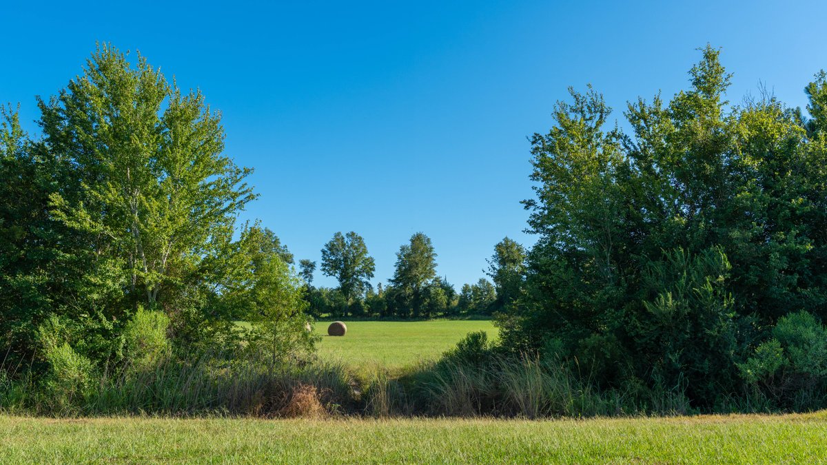 Image for 224+/- Total Acres – The Bowen Farm - Productive Farmland w/ Brick Home, Coastal Hayfields & Large Metal Building