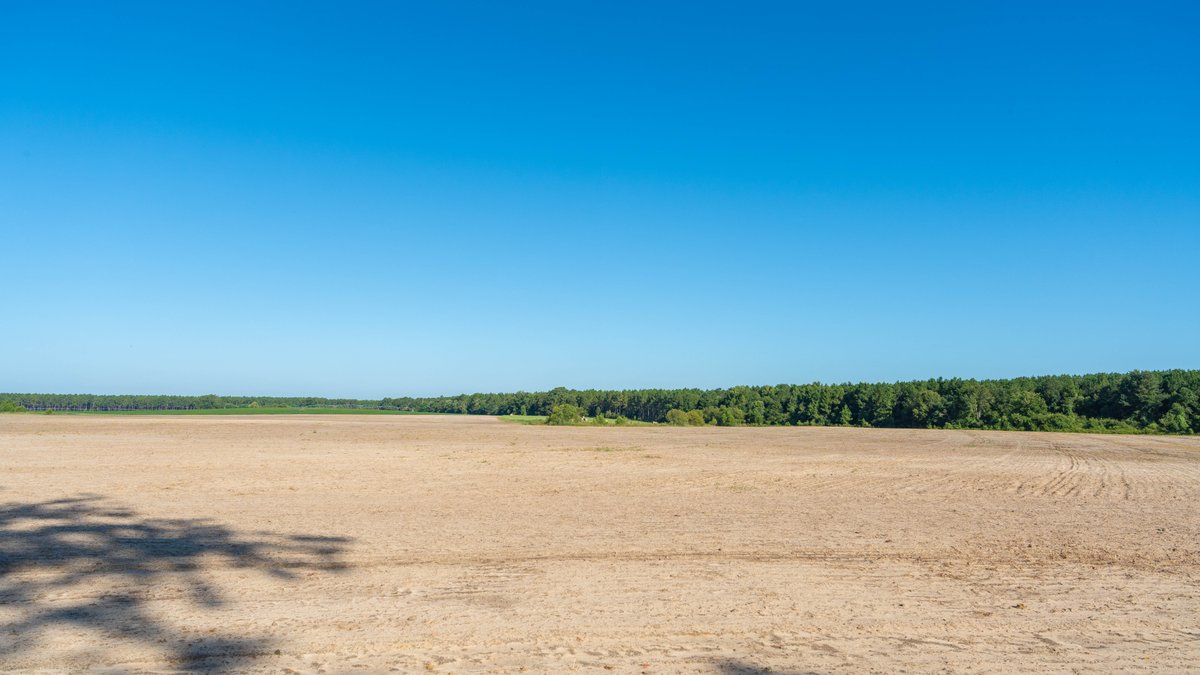 Image for 224+/- Total Acres – The Bowen Farm - Productive Farmland w/ Brick Home, Coastal Hayfields & Large Metal Building