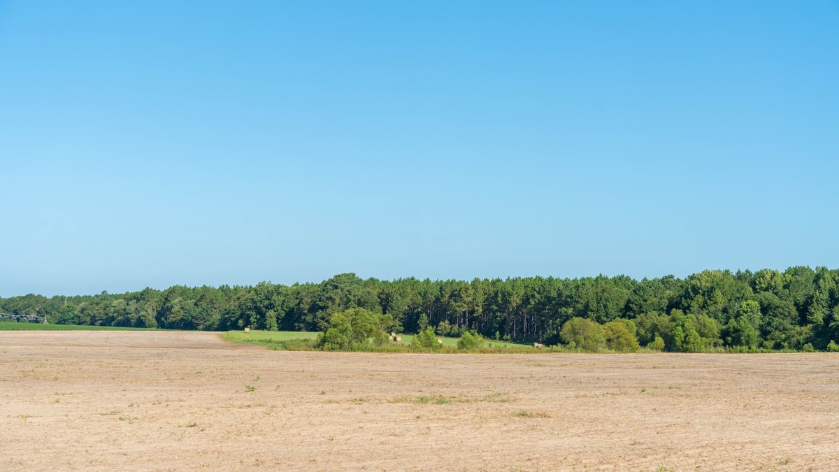 Image for 224+/- Total Acres – The Bowen Farm - Productive Farmland w/ Brick Home, Coastal Hayfields & Large Metal Building