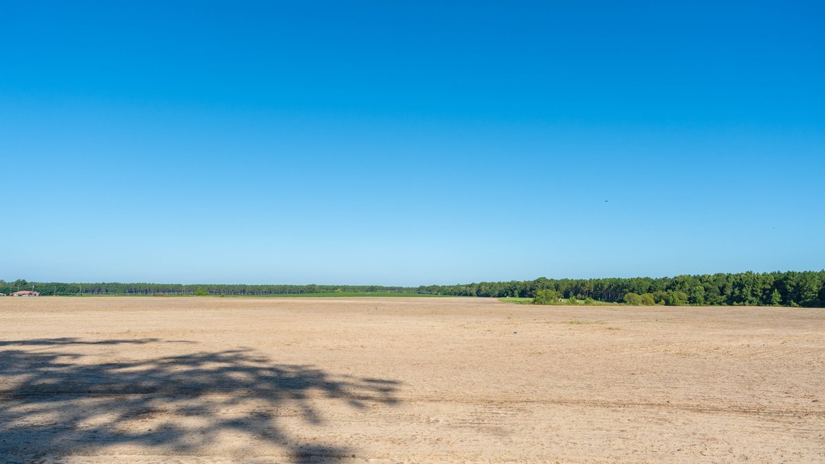 Image for 224+/- Total Acres – The Bowen Farm - Productive Farmland w/ Brick Home, Coastal Hayfields & Large Metal Building