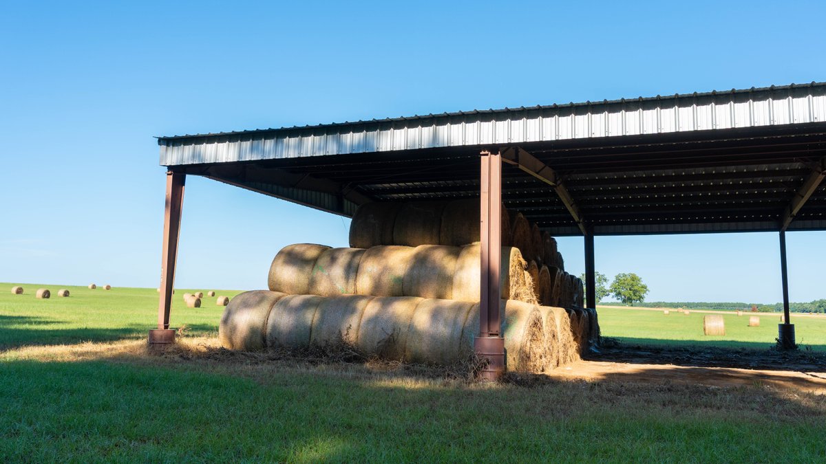 Image for 224+/- Total Acres – The Bowen Farm - Productive Farmland w/ Brick Home, Coastal Hayfields & Large Metal Building