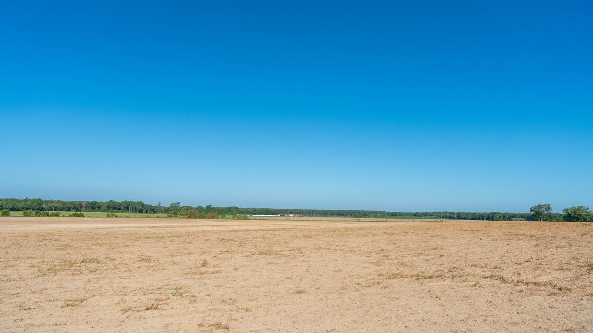 Image for 224+/- Total Acres – The Bowen Farm - Productive Farmland w/ Brick Home, Coastal Hayfields & Large Metal Building