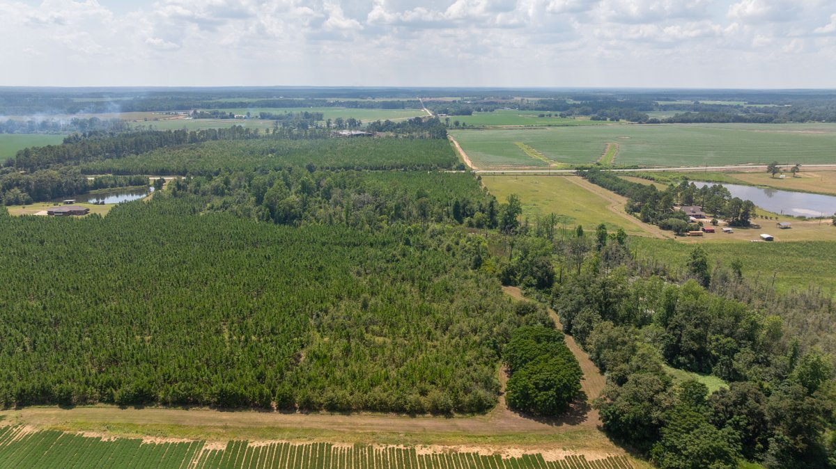 Image for 14+/- Total Acres - Recreational & Homesite Opportunity