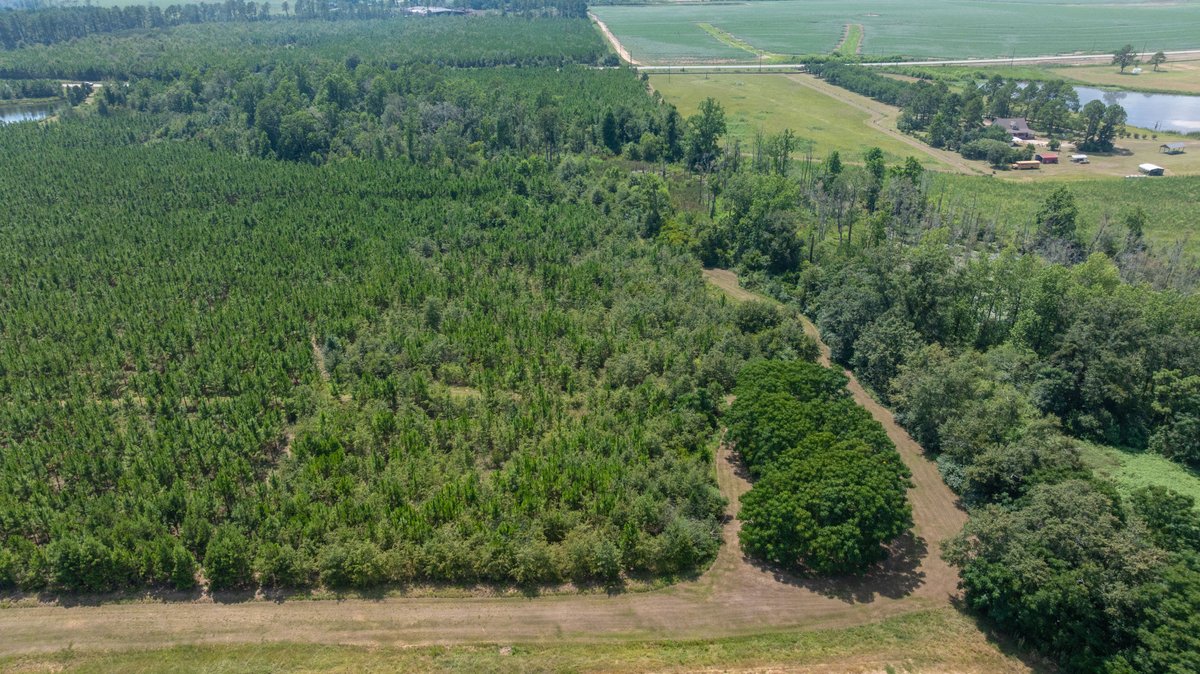 Image for 14+/- Total Acres - Recreational & Homesite Opportunity