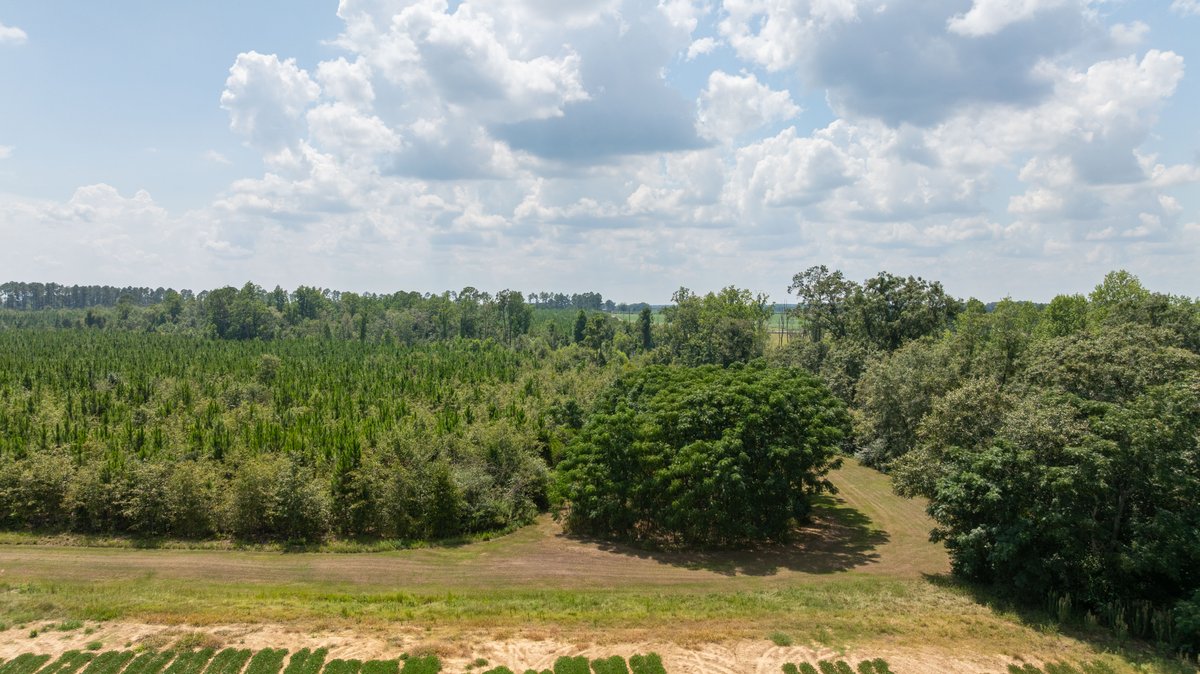 Image for 14+/- Total Acres - Recreational & Homesite Opportunity