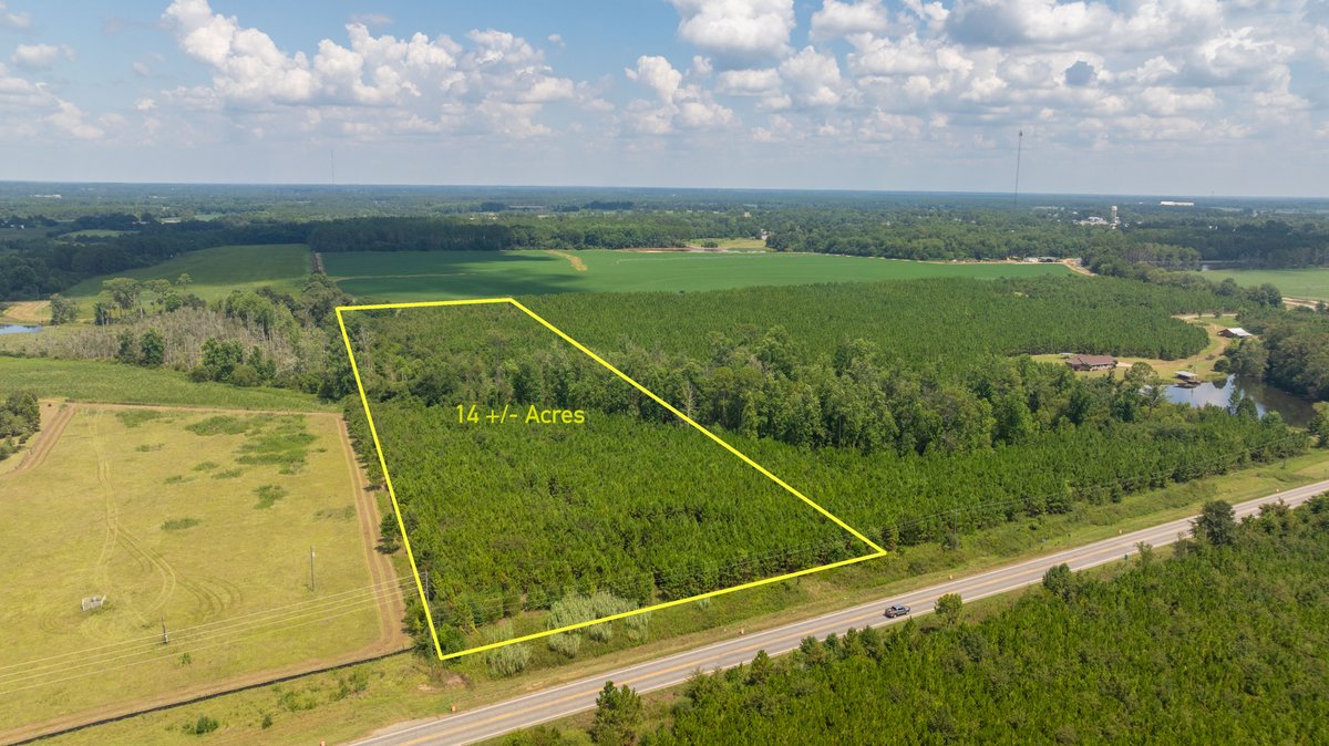 Image for 14+/- Total Acres - Recreational & Homesite Opportunity