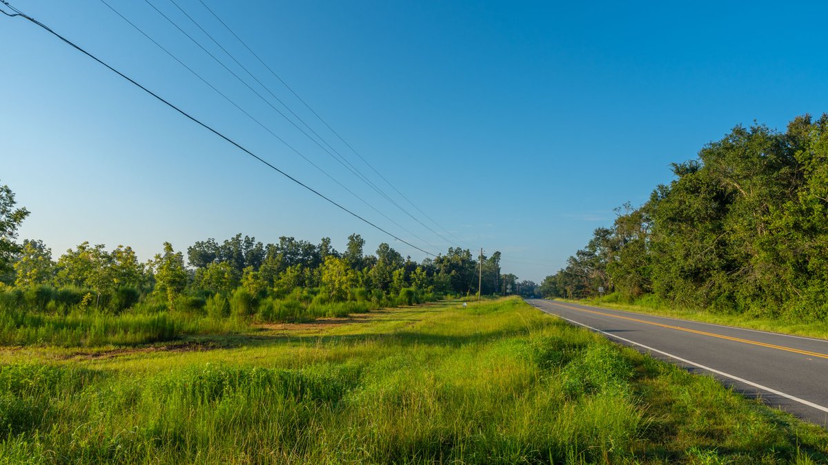 Image for 143± Acres - Darsey Orchard - Surrounded by Residential Growth with Mini-Farm Opportunities - Irrigated Pecan Orchard with Ample Frontage