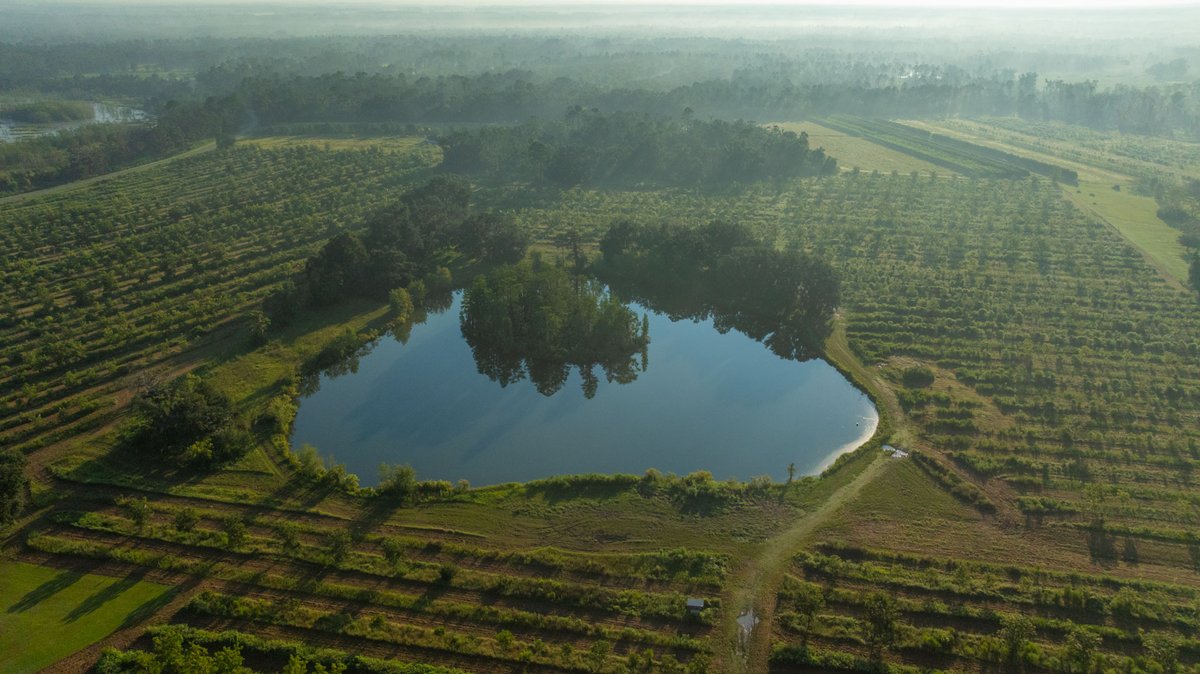 Image for 143± Acres - Darsey Orchard - Surrounded by Residential Growth with Mini-Farm Opportunities - Irrigated Pecan Orchard with Ample Frontage
