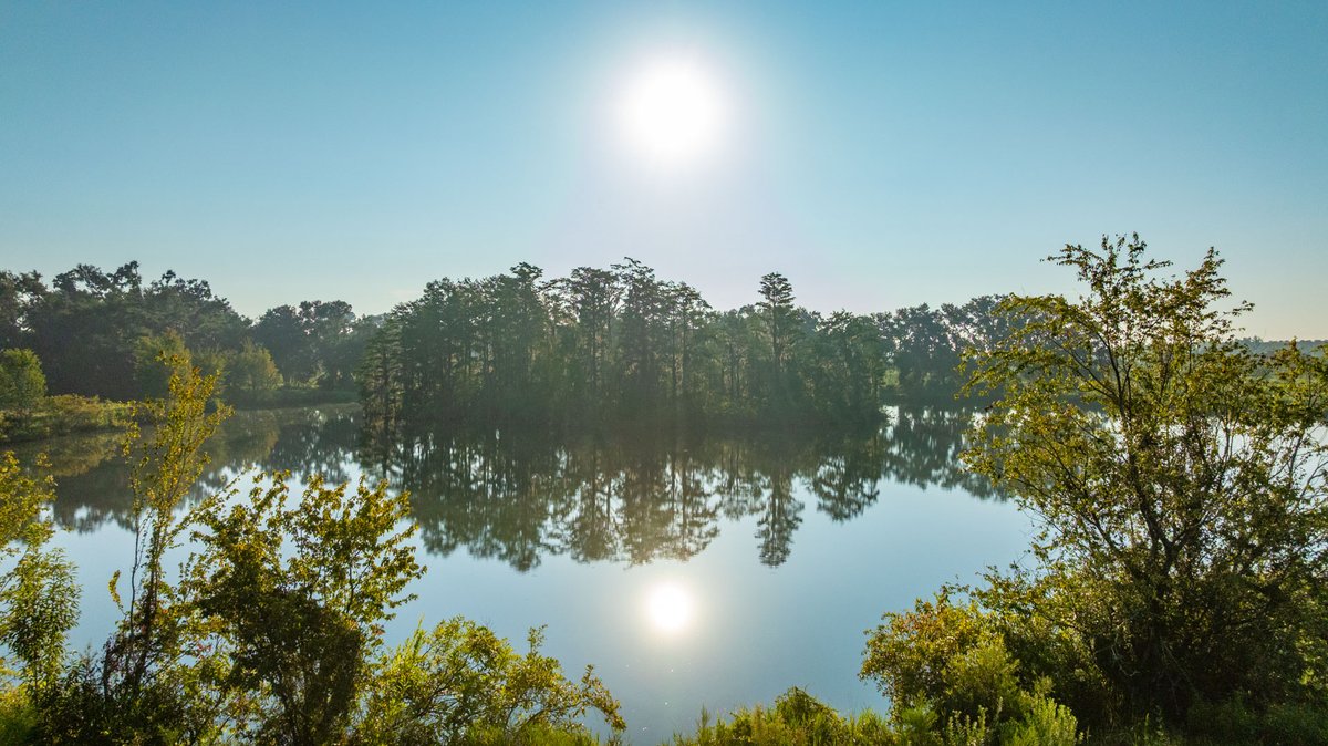 Image for 143± Acres - Darsey Orchard - Surrounded by Residential Growth with Mini-Farm Opportunities - Irrigated Pecan Orchard with Ample Frontage