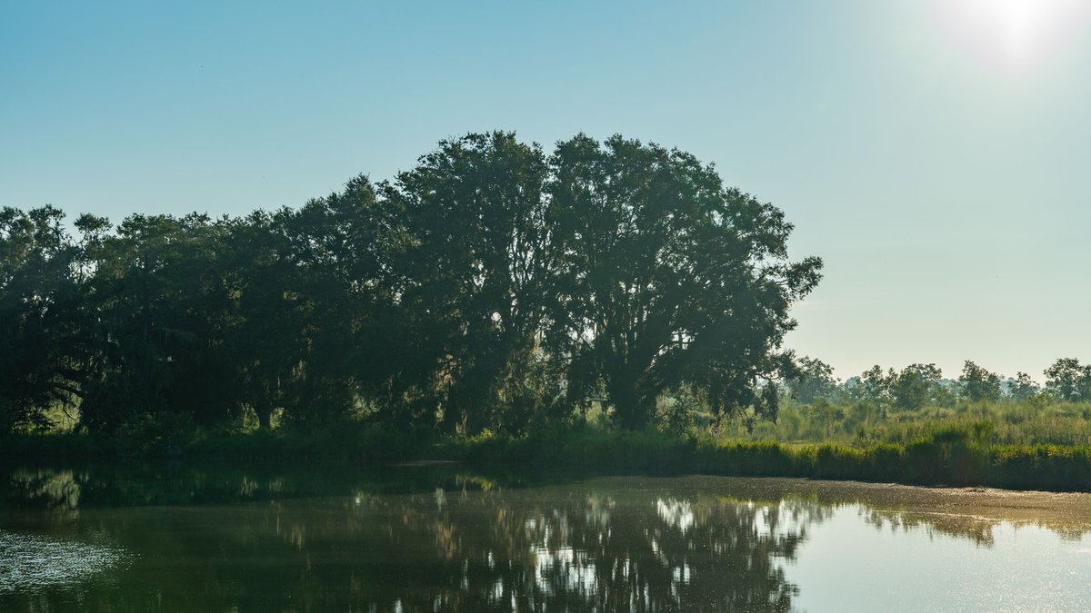 Image for 143± Acres - Darsey Orchard - Surrounded by Residential Growth with Mini-Farm Opportunities - Irrigated Pecan Orchard with Ample Frontage