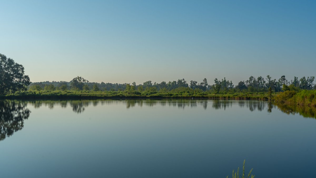 Image for 143± Acres - Darsey Orchard - Surrounded by Residential Growth with Mini-Farm Opportunities - Irrigated Pecan Orchard with Ample Frontage