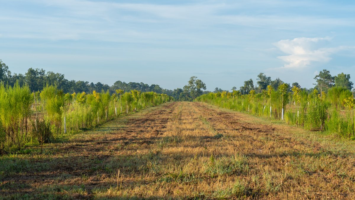 Image for 163± Acres - Chason Orchard - Ideal for Residential Homesites, Estate Lots & Expansion Opportunities - Irrigated Orchard with Home, Ample Frontage & Wooded Tracts