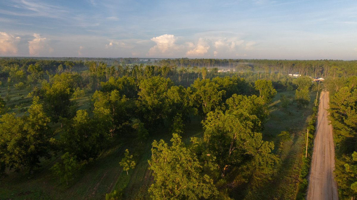Image for 163± Acres - Chason Orchard - Ideal for Residential Homesites, Estate Lots & Expansion Opportunities - Irrigated Orchard with Home, Ample Frontage & Wooded Tracts