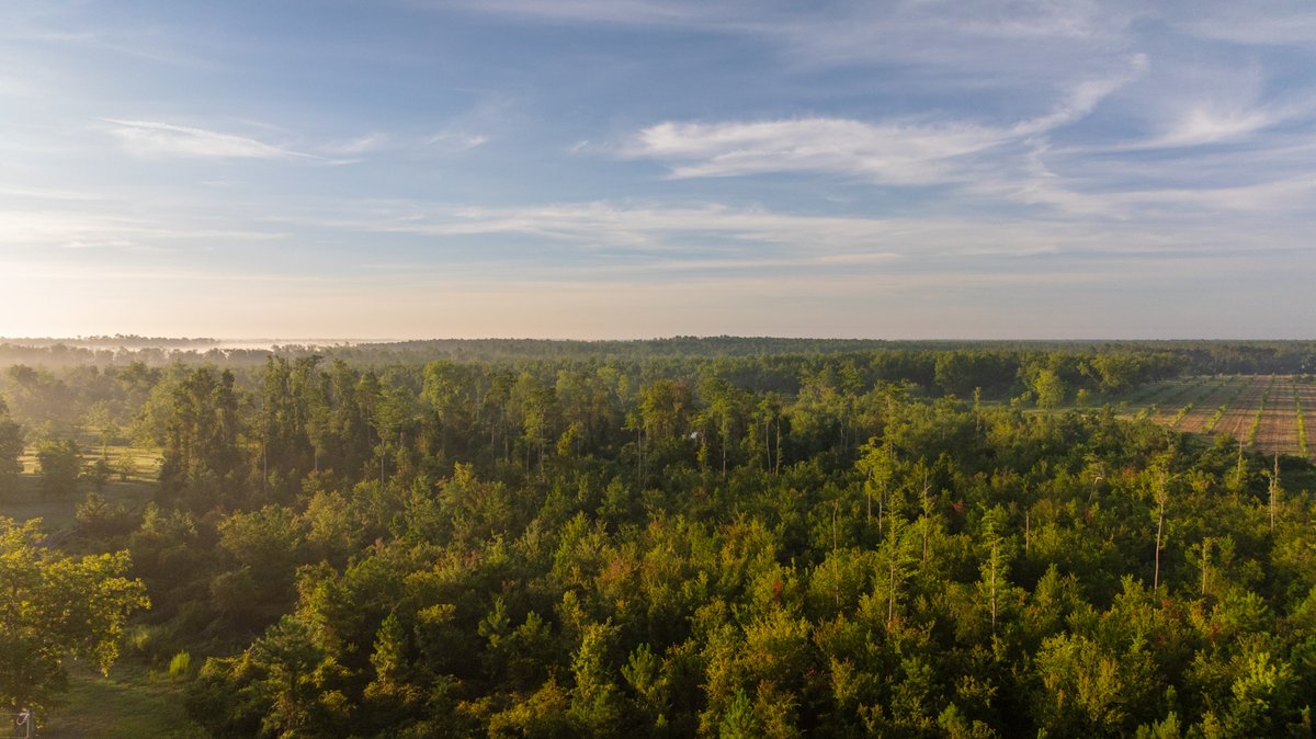 Image for 163± Acres - Chason Orchard - Ideal for Residential Homesites, Estate Lots & Expansion Opportunities - Irrigated Orchard with Home, Ample Frontage & Wooded Tracts
