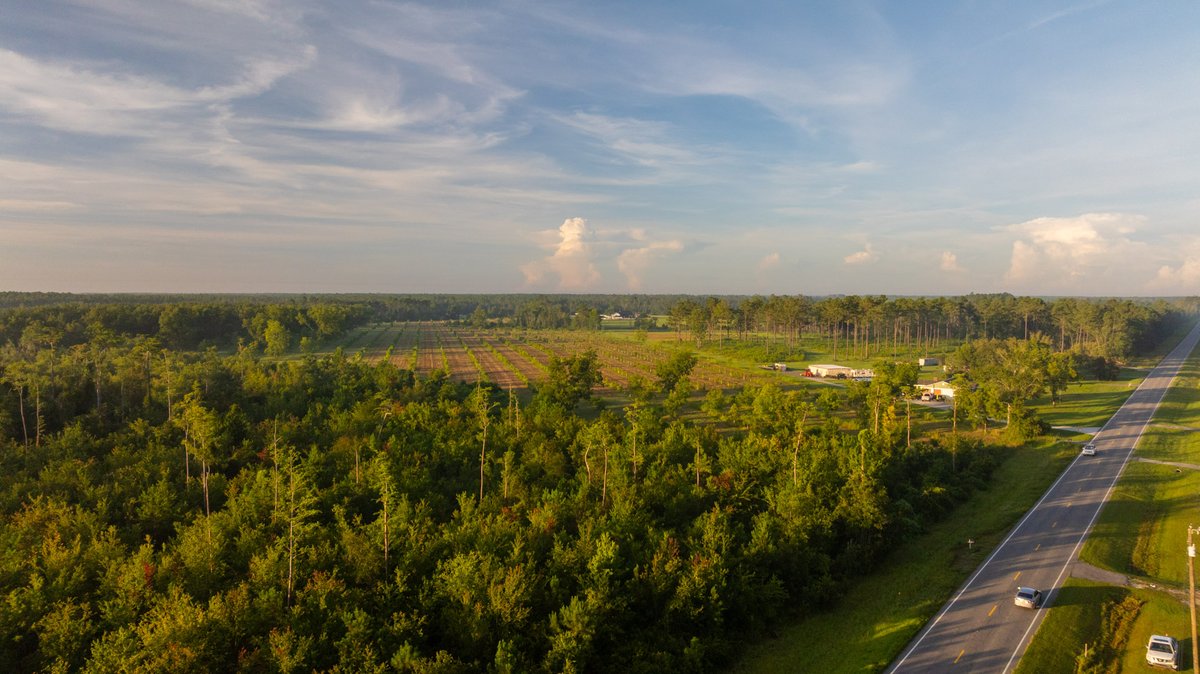 Image for 163± Acres - Chason Orchard - Ideal for Residential Homesites, Estate Lots & Expansion Opportunities - Irrigated Orchard with Home, Ample Frontage & Wooded Tracts